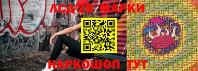 ALPHA-PVP Новодвинск