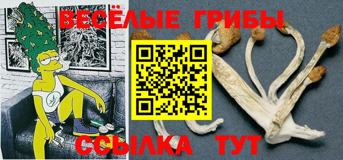 Туапсе  как найти закладки  Вход с VPN  Галлюциногенные грибы прущие грибы 